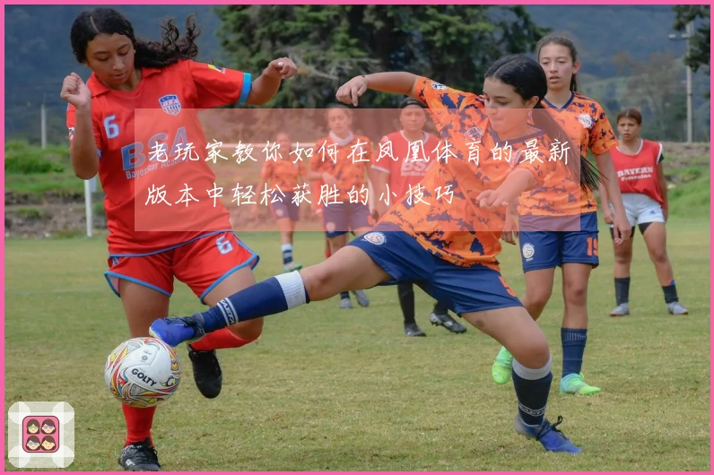 老玩家教你如何在凤凰体育的最新版本中轻松获胜的小技巧