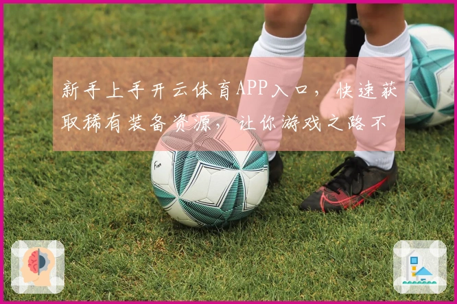 新手上手开云体育APP入口，快速获取稀有装备资源，让你游戏之路不再愁
