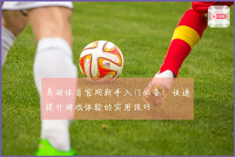 易游体育官网新手入门必备：快速提升游戏体验的实用技巧