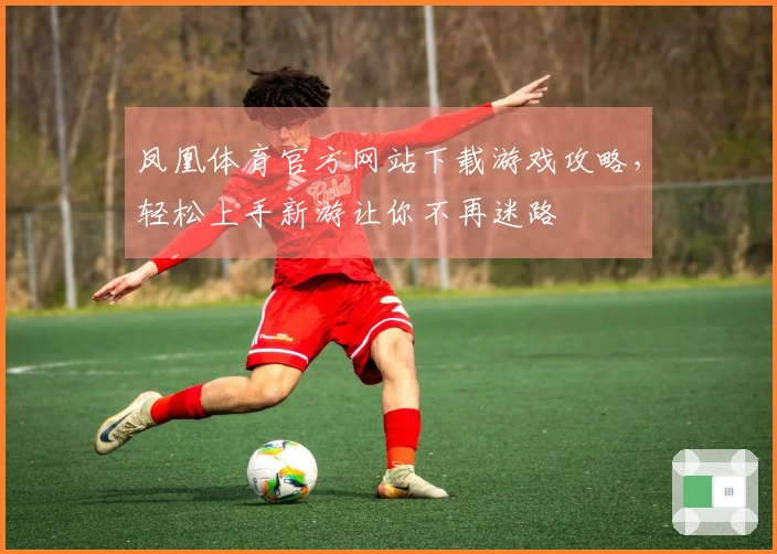 凤凰体育官方网站下载游戏攻略，轻松上手新游让你不再迷路